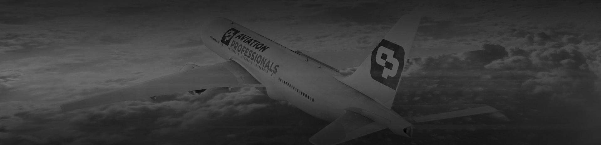 Aviation Professionals