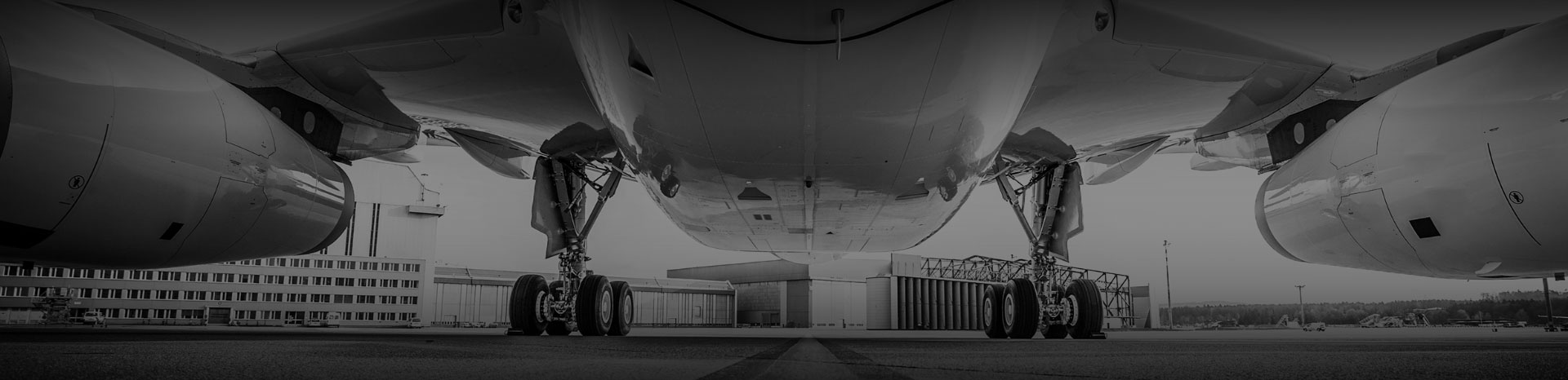 Aviation Professionals